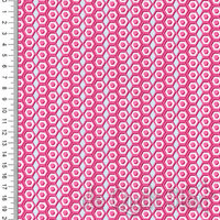 SALE Jardin de la Reine| Palace Topiary Rose [OB045]