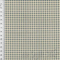 Dutch Heritage Gingham | Spruce [1031]