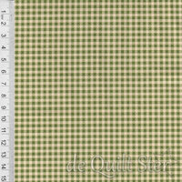 Dutch Heritage Gingham | Green [1031]