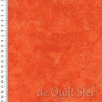 Dimples | Carrot [1867O1]