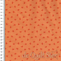 Flower Box | Tendril Carrot [1022O]