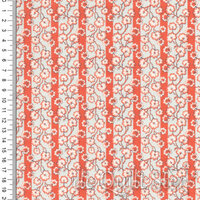 Stoneleigh | Orange Stripe [2024]