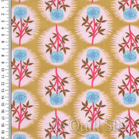 Bloomology | Cameo Maize [MF037]