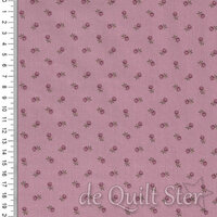 Dahlia | Pincushion Flower Lilac [1383P]