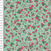 Afternoon Tea | Strawberry Fizz [092Q]