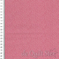 Goodnight Irene | Sweetheart Carnation [31707-11]