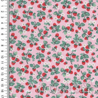 Home Sweet Home | Strawberry Cake Pink [24453]