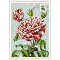 Edition Tausendsch&ouml;n | Ansichtkaart A6 | Roos [PK897]