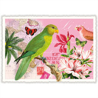 Edition Tausendsch&ouml;n | Ansichtkaart A6 | Papagaai [PK984]