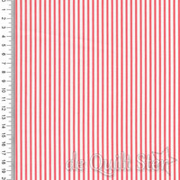 Summertime | Stripe Melon [55324-23]