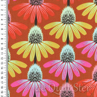 Perenial Borders | Echinacea Rhythm Fire [AMT136-79V]