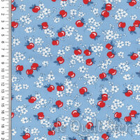 30's Playtime 2025 | Apple Blossom Sky [23371-17]