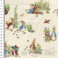 Peter Rabbit and Benjamin Bunny | Main Cream [17250]