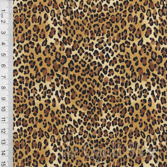 Leopard Skin | Luipaard / Panter [2722]