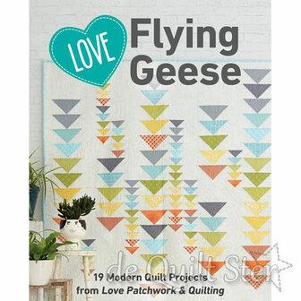 Love Flying Geese