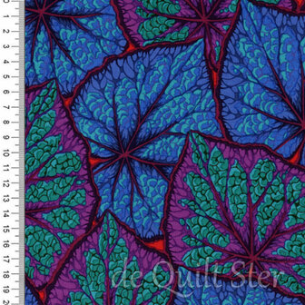 Kaffe Fassett Collective | Begonia Leaves Cobalt [PJ018]