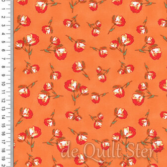 Wild Bloom | Oranje [WBL-12033]