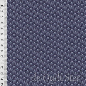 Everlasting | Deco Daisy Blueberry [425B]