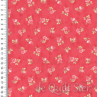 Bliss | Tranquillity Rose [44316-14]