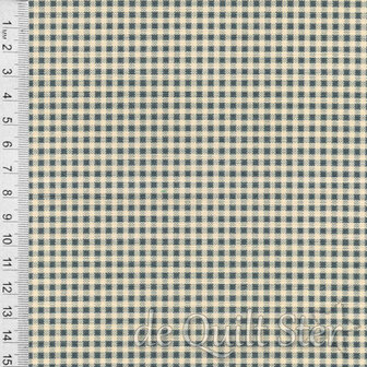 Dutch Heritage Gingham | Spruce [1031]