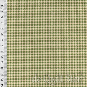 Dutch Heritage Gingham | Green [1031]