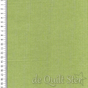Kimberbell Basics | Perforated Stripe Green [8259G]