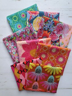 Jumpstart | Zinnia Show Glow [AMT131-42C]