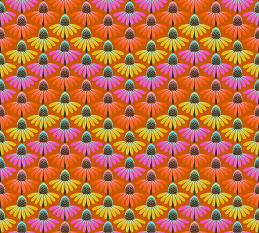 Perenial Borders | Echinacea Rhythm Fire [AMT136-79V]