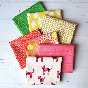 Bundel | Catnap 7x F8