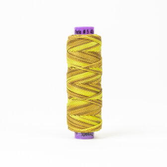 Eleganza 5wt | SSEZM5-06 Golden Rules - by Sue Spargo