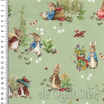 Peter Rabbit and Benjamin Bunny | Main Green [17250]