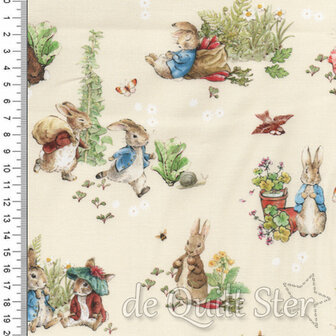 Peter Rabbit and Benjamin Bunny | Main Cream [17250]