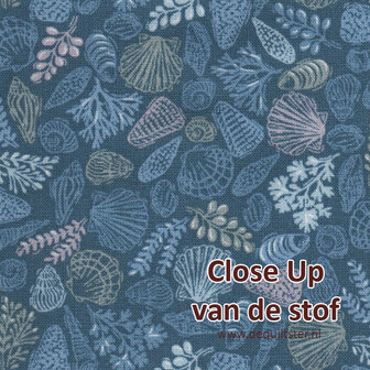 Makower | Driftwood - Shells Blue [176B]