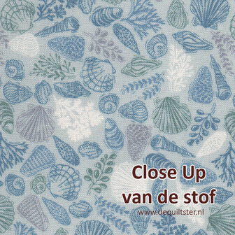 Makower | Driftwood - Shells Green [176G]