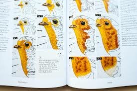 Emillie Ferris | Paint with Thread, through the seasons