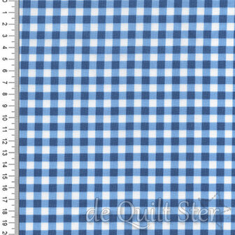Corey Yoder | Fruit Salad - Gingham Checks &amp; Plaids in Cobalt Blue [29245-24]