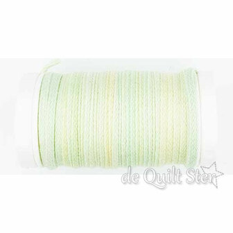 Painters Threads | Cotton Braided Floss - P004 Pomelo