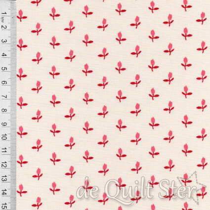 The Flower Farm | Buds Thisle  [3013-14]