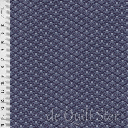 Everlasting | Deco Daisy Blueberry [425B]