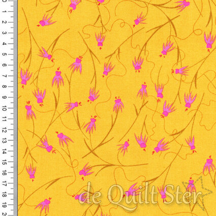 Wildflowers | Coneflowers Yellow [671Y]