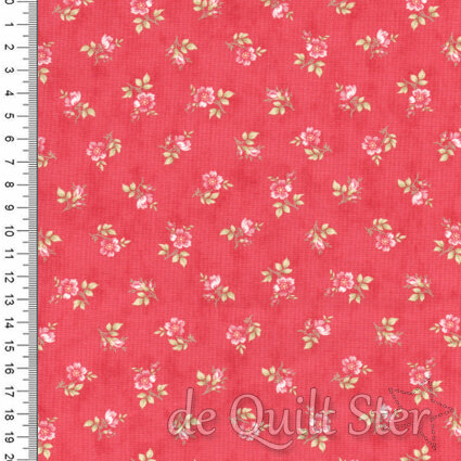 Bliss | Tranquillity Rose [44316-14]
