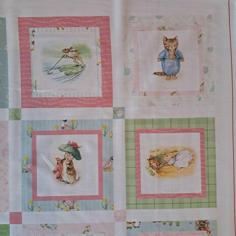 Peter Rabbit and Friends | Panel [15868] 