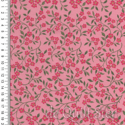 Sagewood | Dogwood Rose [11953-21]
