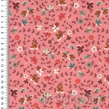 Acorn Hollow | Meadow Flowers Apple [30761-15]