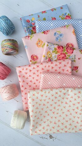 Memory Lane | Gingham and Dots Blue [18784-25]