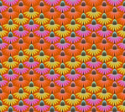 Perenial Borders | Echinacea Rhythm Fire [AMT136-79V]