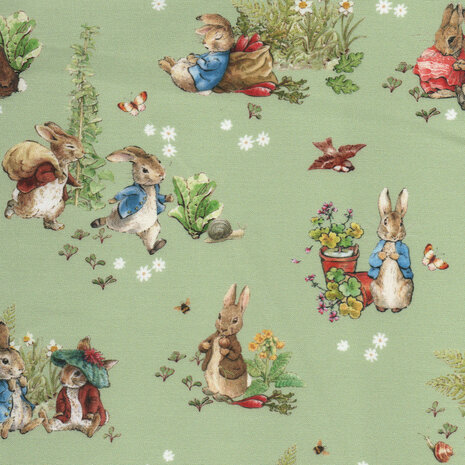 Peter Rabbit and Benjamin Bunny | Main Green [17250]