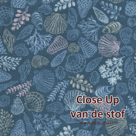 Makower | Driftwood - Shells Blue [176B]