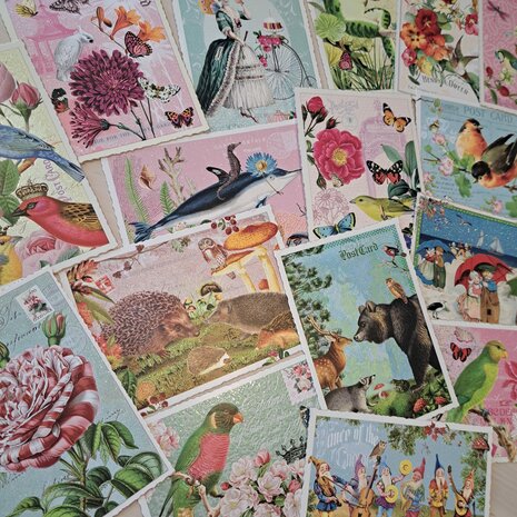 Edition Tausendsch&ouml;n | Ansichtkaart A6 | Happy Birthday [PK1201]