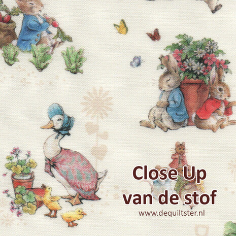 Peter Rabbit and Friends | Main Cream [15861]